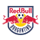 Netfogo 6 Bragantino