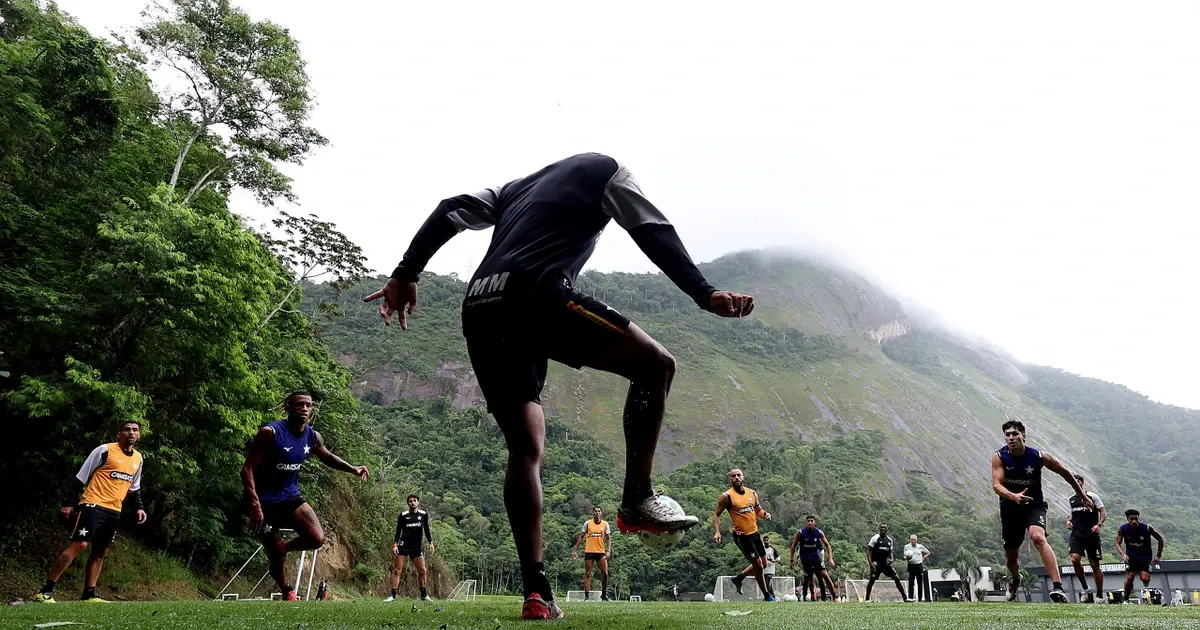 Botafogo tem 39 pontos no Campeonato Brasileiro