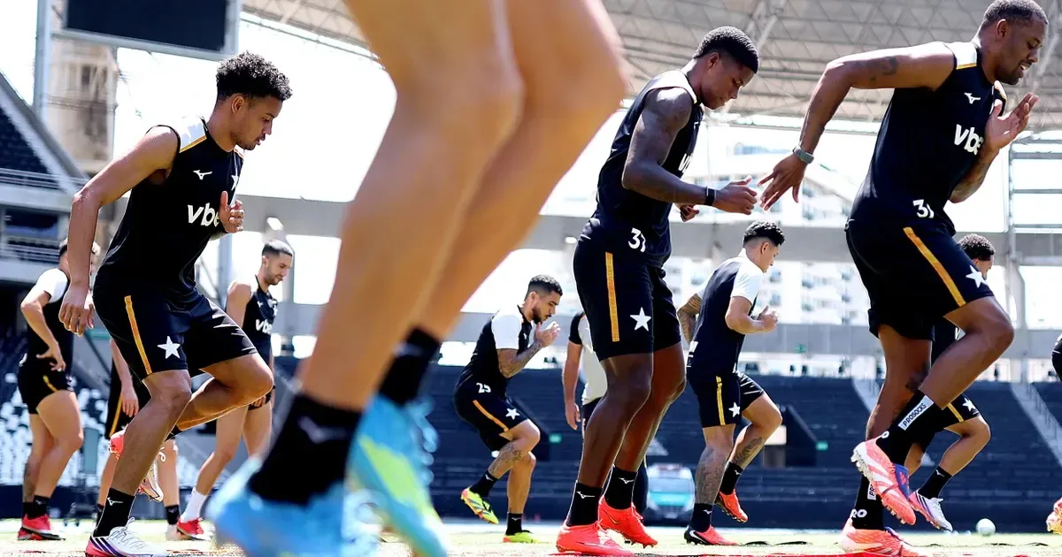 Botafogo é 12º em desfalques por lesão