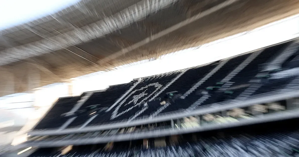 Botafogo comunica a juiz da recuperação judicial nova composição da SAF após acionar bônus de subscrição e emitir novas ações