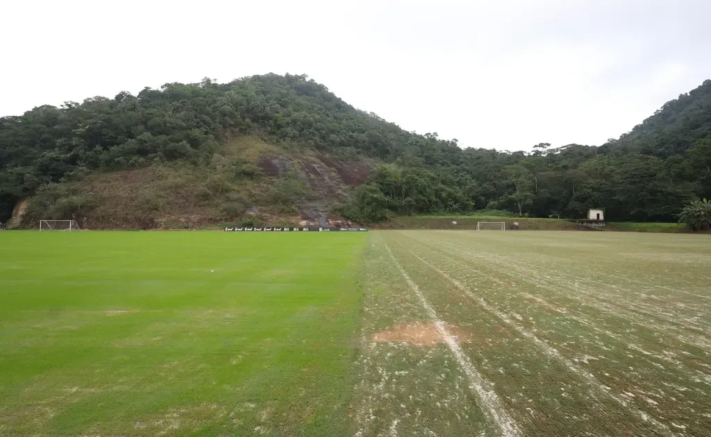 Botafogo implanta grama de inverno no Espaço Lonier