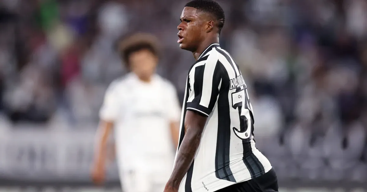 Na força da garotada, Botafogo vence Santos no último lance em retorno AO brasileirão