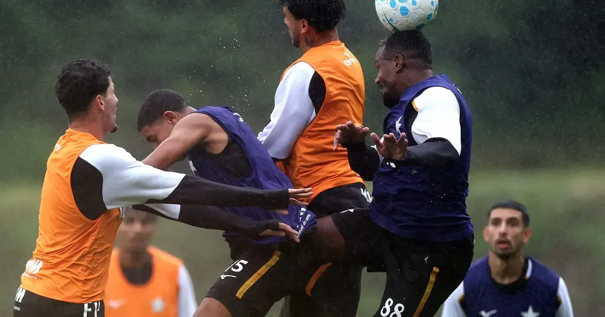 Botafogo trabalha para pagar direitos de imagens dos jogadores na próxima semana