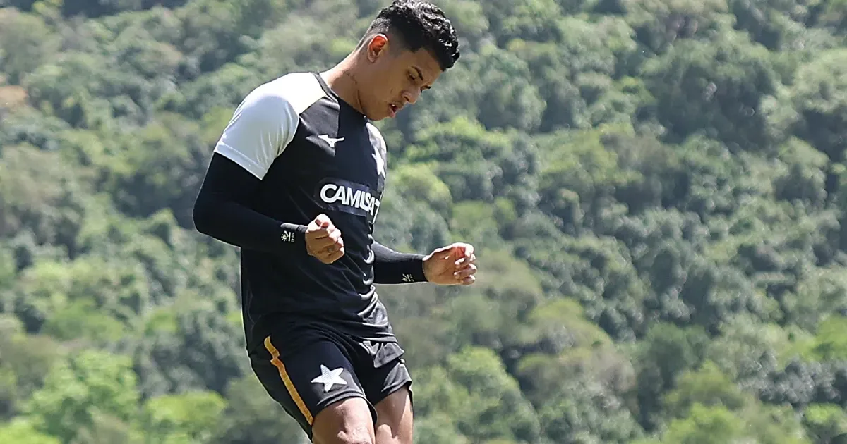 Matheus Martins ressurgiu no Botafogo