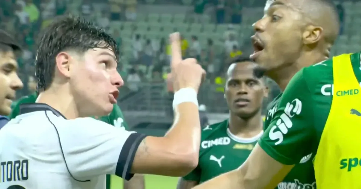 Botafogo enfrenta Palmeiras com reencontros