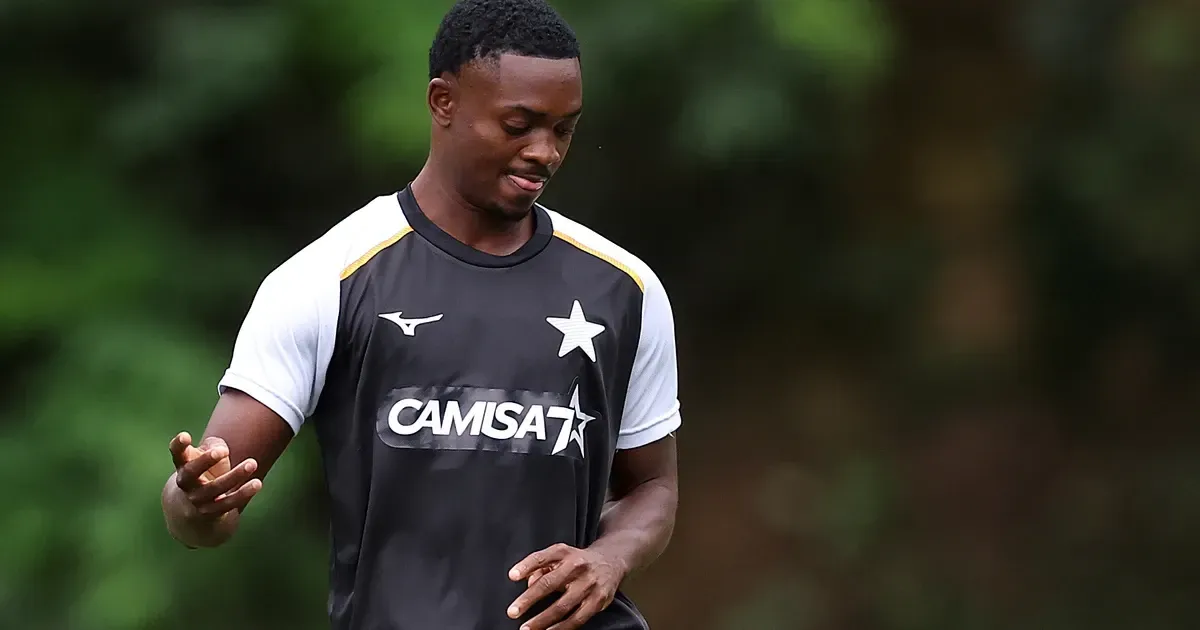Domingos Andrade tem apenas 18 minutos em 3 meses no Botafogo