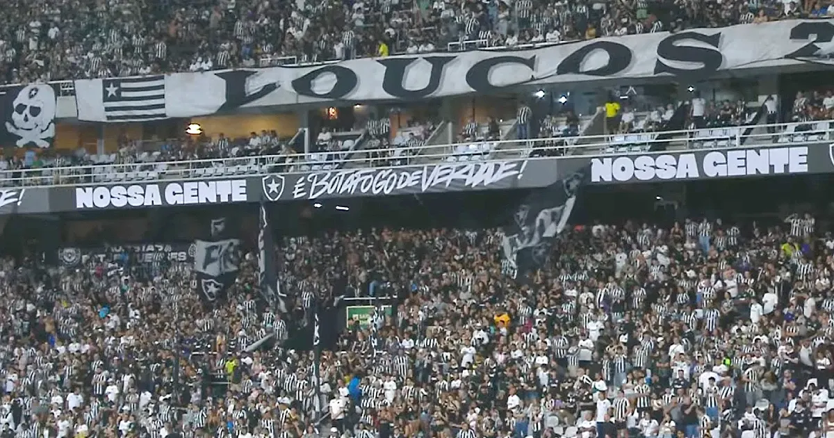 Botafogo cobra melhorias no Estádio Nilton Santos