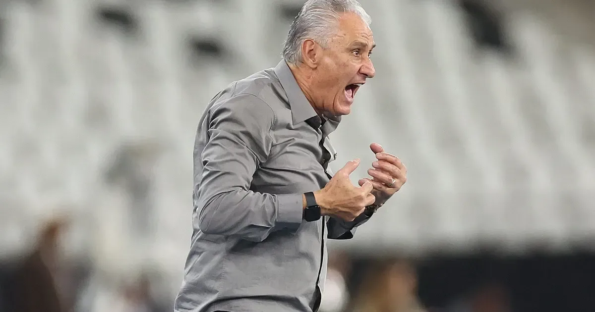 Botafogo vence Chapecoense com Tite