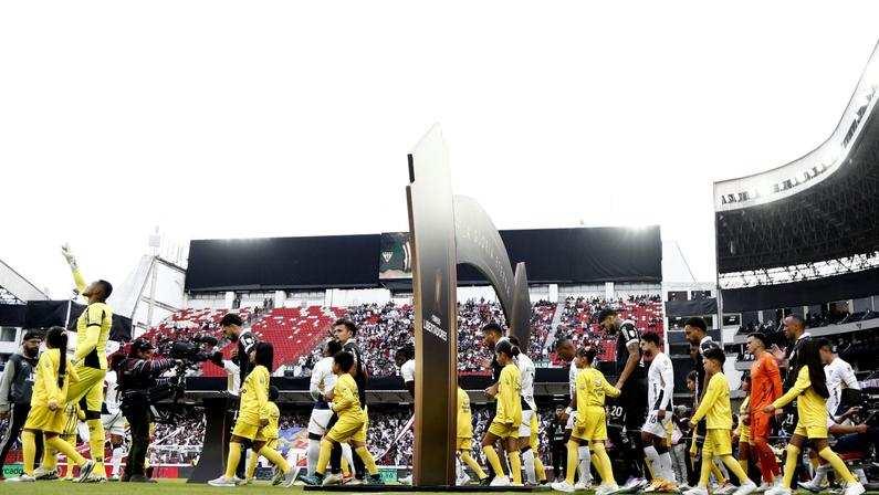 Botafogo Em Campo Durante Partida Decisiva