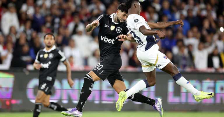 Botafogo Sofre Crítica Dura Na Libertadores: Atuação &Quot;Irreconhecível&Quot; Contra Ldu É Comparada A Jogo Contra Psg