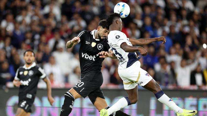 Botafogo Em Ação Contra Ldu Na Libertadores