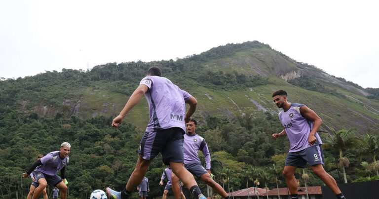 Botafogo Projeta Onda De Propostas Por Atletas E Define Estratégia Para Mercado 2025