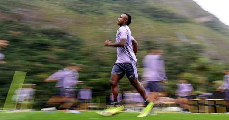Botafogo Time Misto Palmeiras Sem Centroavante