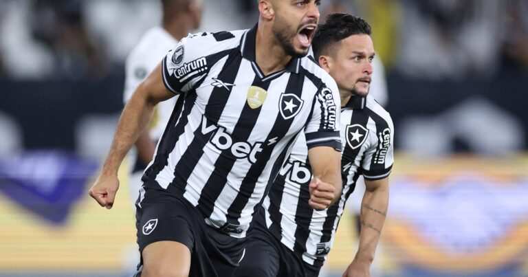 Botafogo Tres Ex Palmeirenses Lei Ex Classico Brasileirao