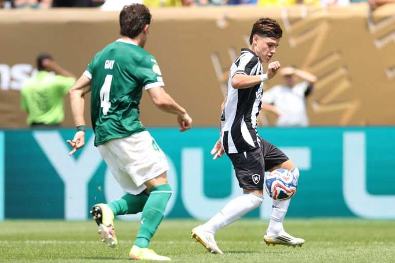 Cbf Horario Botafogo Palmeiras 2025 Polemica Arbitragem