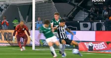 Rizek Exige Explicação Sobre Pênalti Não Marcado No Botafogo X Palmeiras Rizek Exige Explicacao Penalti Botafogo Palmeiras