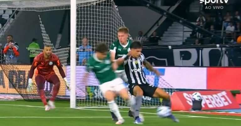Rizek Exige Explicacao Penalti Botafogo Palmeiras