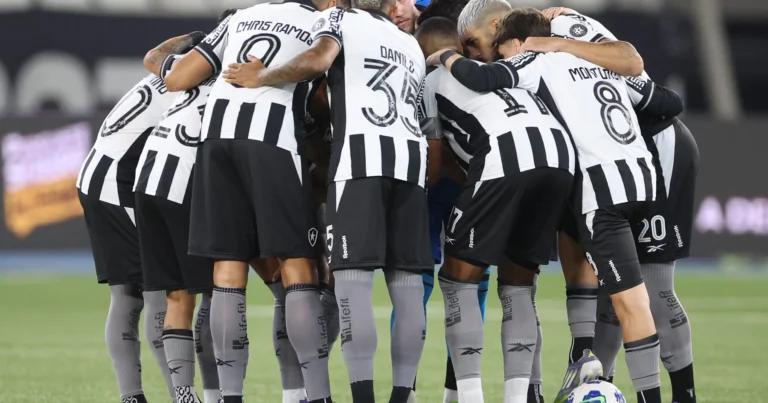 Botafogo: Eric Faria Aponta Jogadores Como Principais Responsáveis Por Colapso Histórico Contra O Mirassol
