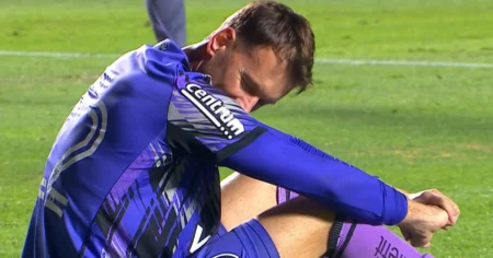 Lesão De Neto No Brasileirão 2025: Botafogo Perde Goleiro Contra São Paulo No Morumbi Lesão De Neto No Brasileirão 2025: Botafogo Perde Goleiro Contra São Paulo No Morumbi