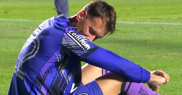Neto Sofre Lesão Grave Na Coxa E Enfrentará Cirurgia; Botafogo Perderá Goleiro Por Até Cinco Meses